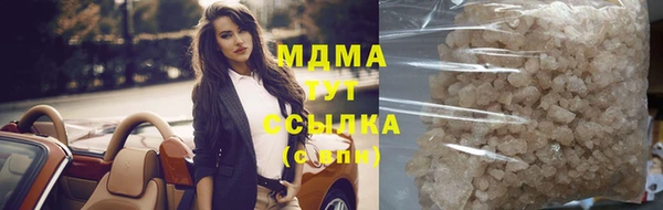 прущие грибы Абинск