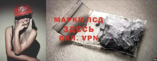 прущие грибы Абинск