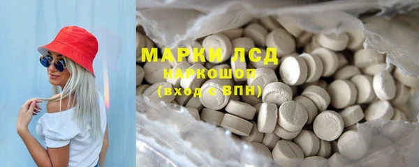 прущие грибы Абинск