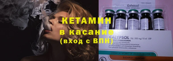 прущие грибы Абинск