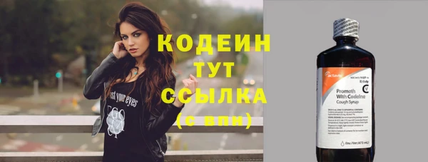 прущие грибы Абинск