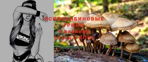ешки Абаза