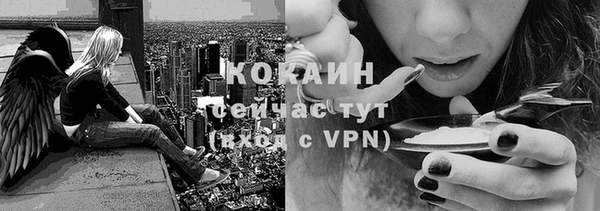 шишки Абдулино