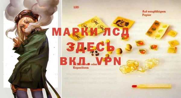 прущие грибы Абинск