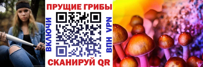 Галлюциногенные грибы MAGIC MUSHROOMS  OMG   Чита 