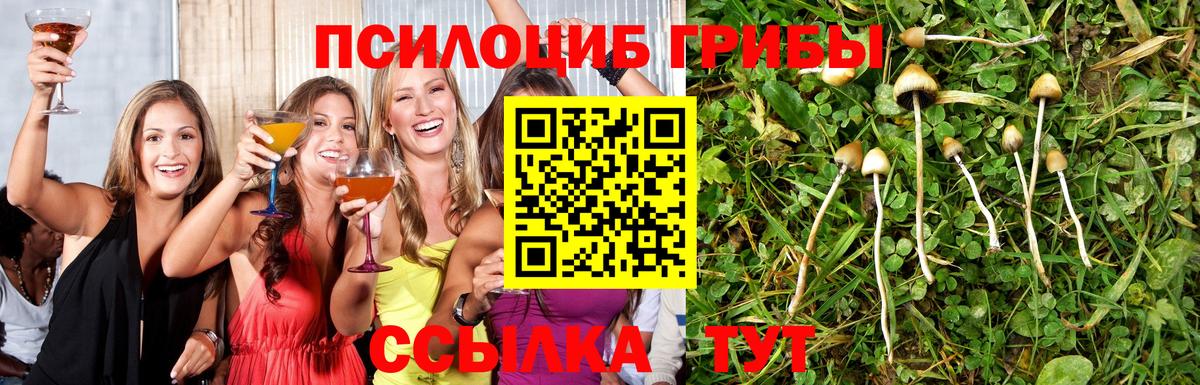 Галлюциногенные грибы GOLDEN TEACHER Чита