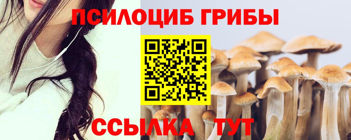 Чита  Псилоцибиновые грибы MAGIC MUSHROOMS  Псилоцибиновые грибы мицелий  Вход с VPN 